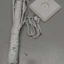 Woohaha Birch Tree Valentine's Day Decorations Indoor for Home,2ft 24LED Warm White Light Up Birch TreeBattery&USB Tabletop Timer Artificial Mini Christmas Tree with Lights for Holiday Party Wedding (1ft 8in)