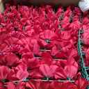 Flower Wall Backdrop,  22pcs, 13x13
