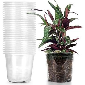 RAOOKIF 1 Gallon Pots with Drainage Holes, 7 Inch Clear Nursery pots, 1 Gallon Plastic Plant Pots for Seedlings, Clear Seed Starters, and Flower Planting