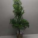 XmasExp 3ft Norfolk Pine Tree Artificial Faux Potted Real Touch Christmas Tree for Front Porch Indoor Outdoor Decor (Green)