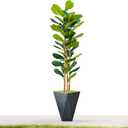 Fiddle Leaf Fig Tree Artificial, 6ft Tall Faux Plants Indoor with Polygonal Planter, Fake Fig Trees with Natural Wood Trunk for Office Home Living Room Decor, Housewarming Gift (Black Grey)