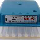 Poultry Hatching Machine, Automatic Eggs Incubators, Intelligent Thermostat Poultry Hatching Machine 36 Eggs Digital Poultry Hatching Machine for Duck Goose Bird Fish Lizard Eggs (US Plug 110V)