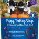 3 x N-Bone Puppy Teething Ring Pumpkin Flavor, 3.6 Oz, 3 Rings