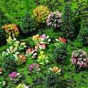 Yilloog 55 Pcs Miniature Colorful Flower Cluster Mini Model Trees Artificial Grass Mat Squares Set 36 Flower Tufts 15 Mixed Train Diorama Trees 4 Garden Craft Grass for Landscape Scenery Sand Table