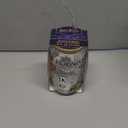 Silver Buffalo Harry Potter Hogwarts Platform 9 3/4 Gryffindor Hedwig Glass Jar Tumbler with Bamboo Lid and Glass Straw, 16 Ounces