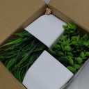 Der Rose 2 Pack Small Fake Plants Mini Artificial Potted Plants for Table Desk Home Bathroom Office Decor (Green)