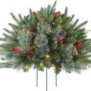 1 Pcs 30 Inch Christmas Tree Green Outdoor Planter Pots Filler Prelit Xmas Pine Trees with Cones and Red Berries 50 Warm White LED with 8 Light Modes and Timer for Yard (2ft 6in)