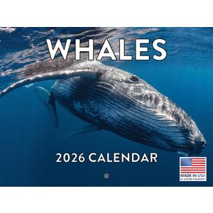 Whale Calendar 2026 Monthly Wall Calender 12 Month | American Made In The USA