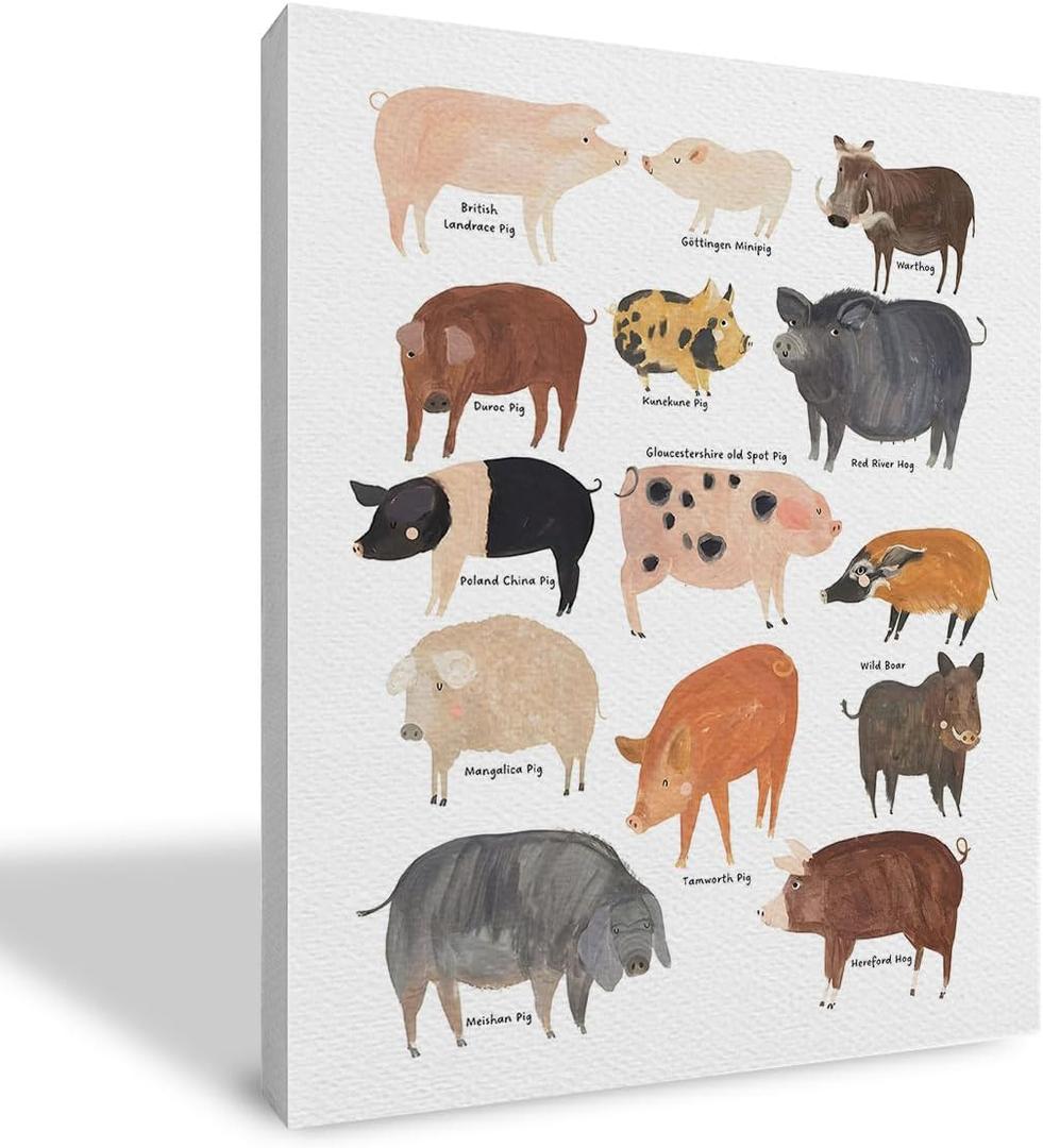 Qvapt Farmhouse Pig Framed Wall Art,Funny Pig Canvas Wall Art Print,Farmhouse Pig Wall Decor,Farmhouse Animal Wall Decor(11x14inch), white