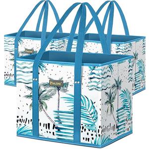 BALEINE 2Pk Reusable Grocery Bags, Foldable Shopping Bags for Groceries with Reinforced Bottom & Handles (Island Breeze)