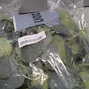 2 Pack Artificial Eucalyptus Garland Faux Silk Leaf Silver Dollar Eucalyptus Leaves Vines Handmade Garland Greenery Wedding Backdrop Indoor Outdoor Arch Wall Decoration