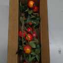 Woration 5PCS Fake Pomegranate Branches Artificial Fruit Branches Set Simulation DIY Decoration Lifelike Props Vase Home Party 19.3inch