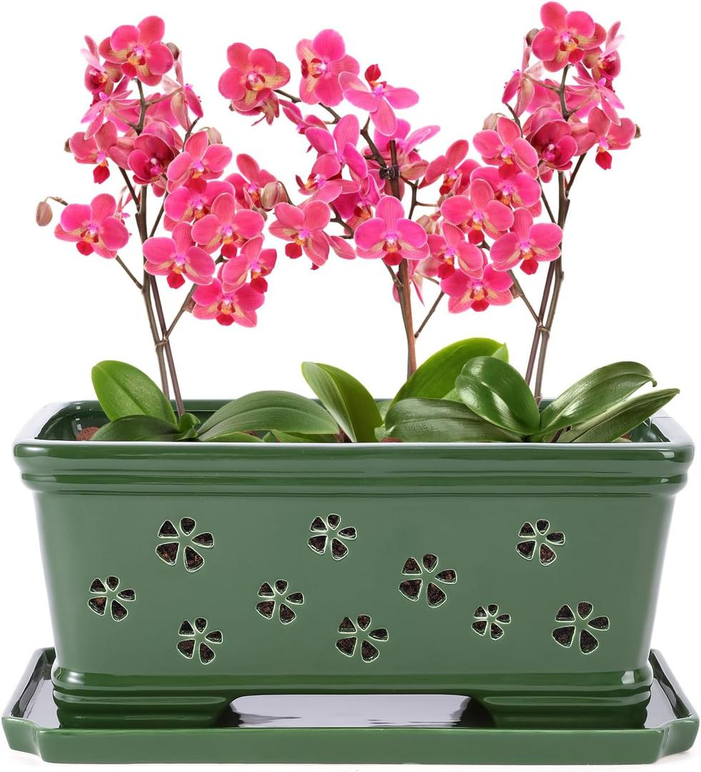 12Inch Green Ceramic Orchid Pot with Holes for Repotting and Ventilation - Indoor or Outdoor