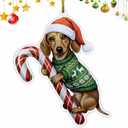 Dachshund Tan Brown Hugging Candy Cane Dachshund Gifts for Women 2D Flat Acrylic Ornament - Christmas Tree Decoration, Gifts for Dog Lovers 2025