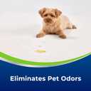 Bissell Woolite Advantage Pet Stain & Odor Remover + Sanitize, 3327