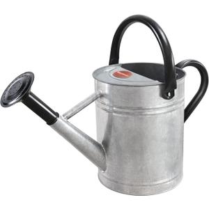 1 Gallon Metal Watering Can with Removable Spout, Nice Galvanized Steel Water Can for Indoor and Outdoor Plants (House Plants) (Silver)