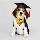 Realeaf Graduation Dog Bandanas 2 Pack, Reversible Pet Scarf for Boy and Girl, Premium Durable Fabric, Holiday Bandana for Small Medium Large and XLarge Dogs (Graduation, X-Large)