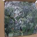 Sggvecsy 3 Pcs Artificial Ivy Vines Kit 6.4Ft Odorless Silk Ivy Garland with Green Leaves Fake Hanging Plants Artificial Greenery Decor for Wedding Home Wall Party Indoor Outdoor Decoration