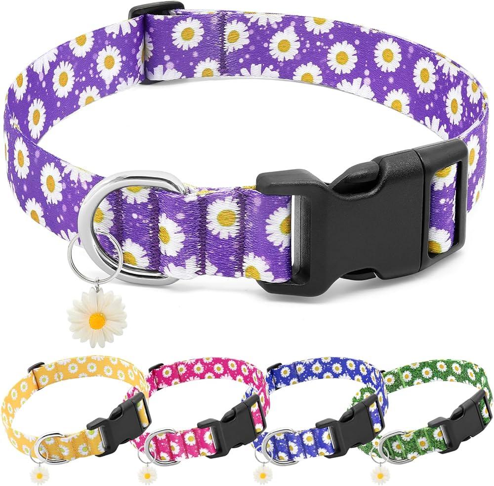 Purple Dog Collars - Cute Flower Collar for Small Dog with Daisies Charms, Pretty Floral Dogs Collar for Female Dogs Puppy Girls Boys Pet (S, Purple)
