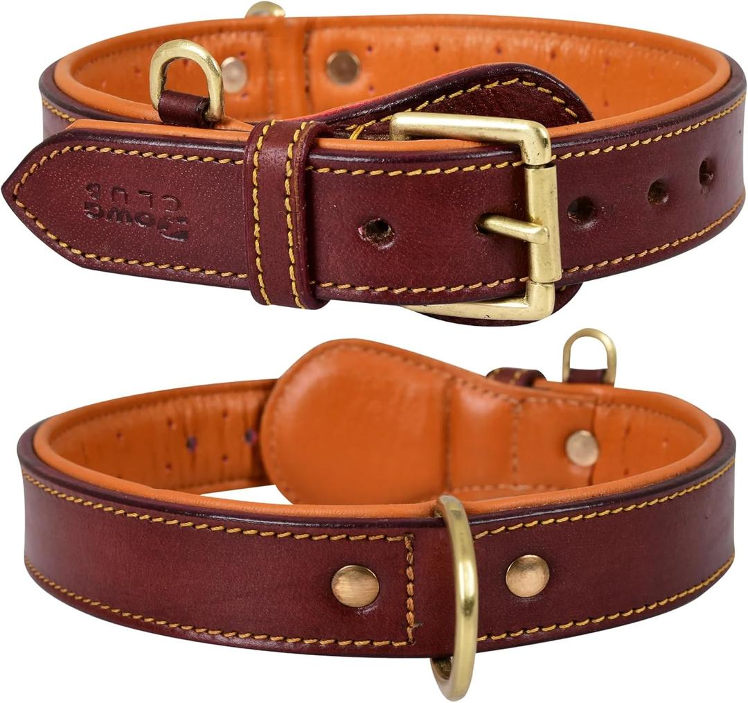 Genuine Leather Dog Collar | Padded, Full Grain, Heavy Duty, Comfortable, Strong | Best for Pups, Small, Medium, Large & XL Breeds (Small (Fit Neck Size 11.5"-14.5"), Dark Brown)