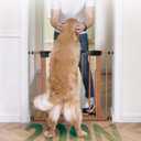 Babelio 29x48" Metal Baby Gate with Brown Wood Pattern, Auto Close Dog Gate PressGuard P7 for The House, Stairs and Doorways, Pressure Mounted Pet Gate with Door, Safety Gate for Child and Pets