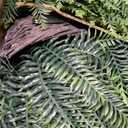 Outdoor Fake Hanging Fern Artificial Hanging Ferns 2 Pack, Large Faux Boston Fern Bushes, UV Resistant Outdoor Hanging Plants for Front Porch, Patio & Indoor Decor