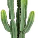 Nafresh UV-Resistant Artificial Fake Cactus Plants 5ft Large Faux Cowboy Cactus for Indoor & Outdoor Home, Office, or Garden Decor