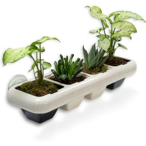 EcoFriendly Wheat Fiber No Plastic Planter. Floating Window Shelf for Plants & Herb Garden with Removable Pots (Black Pots)