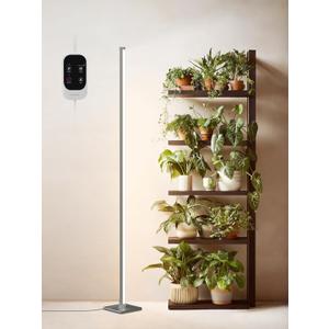 Standing Grow Light with Auto-Timer, 36W Vertical Grow Lights for Indoor Plants,3 Light Modes,268 LEDs Detachable Full Spectrum Plant Lights for Wide Area Coverage in Indoor Plants (60IN-Silver)