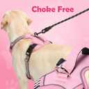 Funfox Dog Harness No Pull, Adjustable Pet Vest Harness, Super Soft Material with Vertical Handle Easy Control, Reflective Night Walking, 2 Leash Clips for Small Sized Dogs, Pink