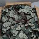 5 pcs Artificial Hanging Grapes Vine Artificial Fake Grape Vines Simulation of Vine Leaves Simulation Grape Garland Plant Lifelike Decor,for Wedding Party Cabinet Wall Decortion (Green)