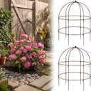 2 pcs 20-1/4" x 26" H Bronze Bird Cage Plant Support Heavy Duty Metal Bird Cage Plant Support Large Outdoor Garden Trellis for Peonies, Baptisia, Sedum & Other Perennials, 26 "X 20.25"