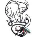 LS Swap Harness,Engine Wiring Harness Professional Standalone Wiring Harness with 4L60E Transmission Drive By Wire, Compatible with DBW LS3 Engines 4.8 5.3 6.0 2003 2004 2005 2006 2007