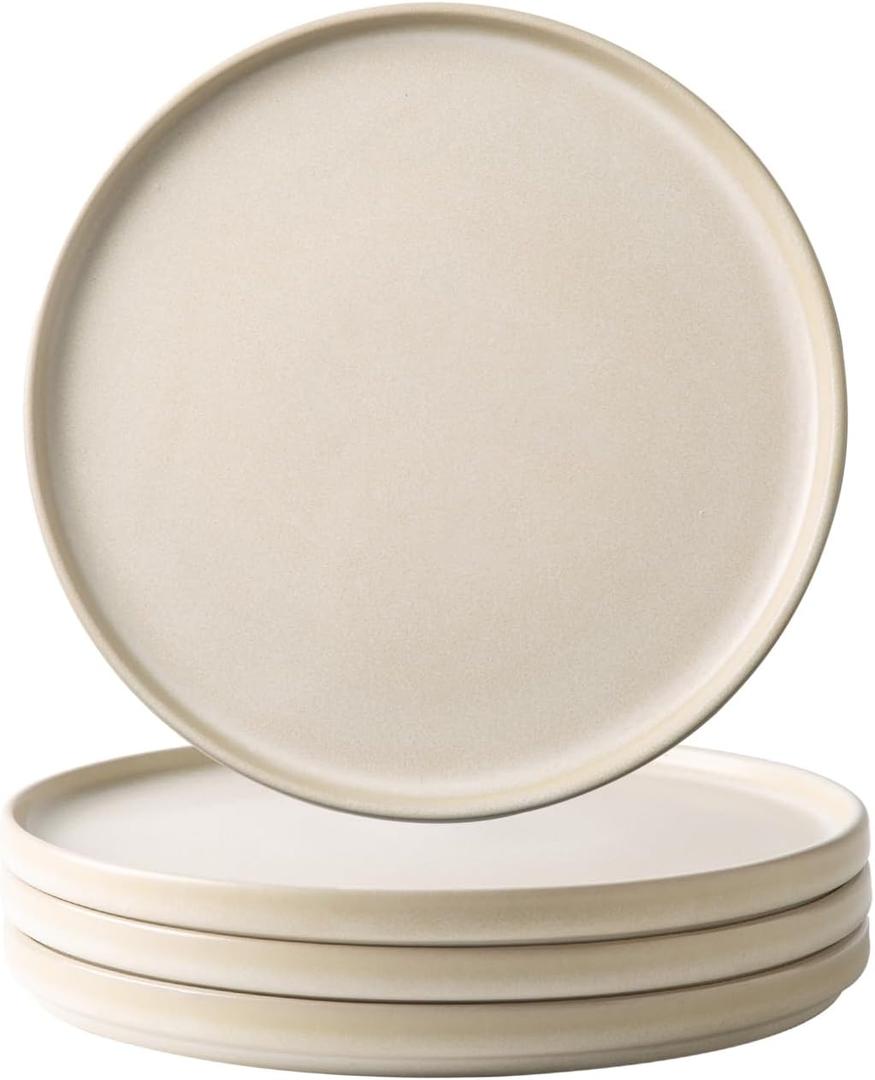 AmorArc Ceramic Dinner Salad Plates Set of 4, 8.0 Inch Reactive Matte Glaze Dish Set, Dessert,Salad, Appetizer, Small Dinner Plate,Microwave, Dishwasher Safe, Scratch Resistant, Ivory