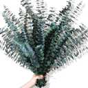 30Pcs Dried Eucalyptus Stems, 17" Real Preserved Eucalyptus Plant for Shower, Fresh Natural Branches for Vase, Eucalyptus Bundle for Home Decor, Wedding, Baby Shower, Bathroom