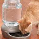 Petmate Mason Inspired Replendish Gravity Waterer, Water Dispenser for Dogs and Cats, 1 Gallon Silver, Made in USA