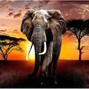 XXMWallArt FC3069 Canvas Wall Art Elephant Picture African Wild Animals Artwork Painting Print for Living Room Bedroom Kitchen Home and Office Wall Decor