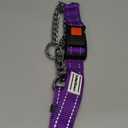 CollarDirect Martingale Dog Collar with Stainless Steel Chain and Quick Release Buckle - Reflective Collar, Purple, Large (Neck Size 17"-22")
