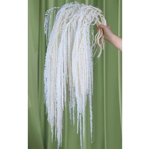 Glicrili 10Pcs Natural Dried Wisteria Hanging Flowers - 23" Bleached White Preserved Amaranthus for Wedding Decor, Dry Flowers Arrangement, Garlands, Home Decor, Vase Filler, Wall Decoration Glicrili 10Pcs Natural Dried Wisteria Hanging Flowers - 23" Bleached White Preserved Amaranthus for Wedding Decor, Dry Flowers Arrangement, Garlands, Home Decor, Vase Filler, Wall Decoration