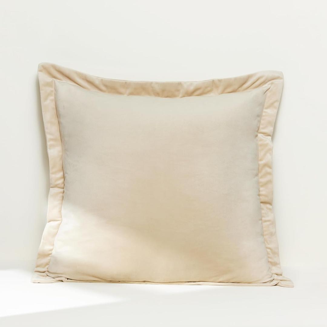Lush Decor - Euro Sham Covers, 2-Piece Velvet Pillow Covers, Super Soft Home Essentials (Velvet Dreams Neutral, 25.5" x 25.5")