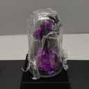 Agrul Flowers Roses Gifts for Mom,Forever Real Preserved Roses in Glass Dome,Mothers Day for Wife Girlfriend Women Best Friend Grandma/Purple Rose