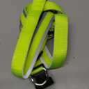 Light Up Dog Harness LED USB Rechargeable Lighted for Night Walking Adjustable Illuminated and Reflective Vest for Small Medium Large Dogs (Green, XS)