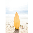 Surfboard Standing Upright In Sand " by Elinamanninen