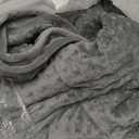 Alomidds Weighted Blanket (60"x80",15lbs Queen Size - Grey), Weighted Blankets for Adults and Kids, Cooling Breathable Soft and Comfort Minky, Heavy Blanket Microfiber Material with Glass Beads