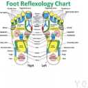 Kinoki Foot Pads for Your Health Care  10 Premium Natural Foot Patches  Adhesive Foot Pads for Foot Pain Relief  Eliminator Unpleasant Odors of Feet  Stick on Foot Pads