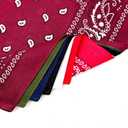 APIGANIZ 100% Cotton Bandanas, 21 x 21 inches, Set of 6