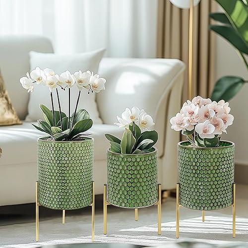 Growsun Plant Pots with Stands, Set of 3 - Indoor Flower Pots with Drain Holes & Rubber Stoppers, Includes Clear Plastic Nursery Pots - Stylish Modern Home Decor for Living Room, Office, and Balcony, Honeycomb, Green