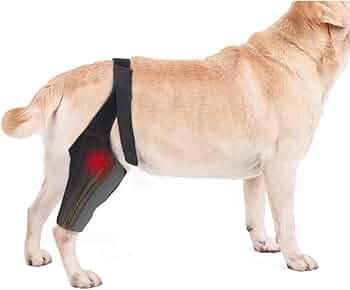 Noorace Dog Knee Brace for Torn ACL/CCL & Hind Leg Support - Adjustable Brace for Arthritis Relief, Joint Stability & Injury Recovery - Fits Small & Medium Dogs