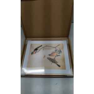 10x12 Picture Frame, Brass Aluminum Metal Photo Frames with HD Glass, Fits 8x10 with Mat or 10 x 12 without Mat, Display for Wall, 1 Pack