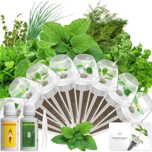 Gourmet Herb Seed Pod Kit Compatible with AeroGarden, idoo, Ahopegarden, Gardencube with Basil, Parsley, Thyme, Mint, Cilantro, Dill, Oregano, Chives - Compatible with All Hydroponics(8-Pod)